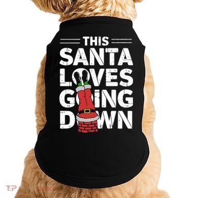 This Santa Loves Going Down Doggie Tank