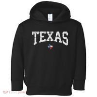 Texas State Map Flag Distressed Toddler Hoodie thumb 0