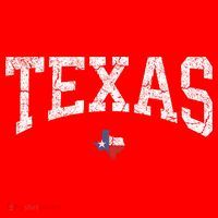 Texas State Map Flag Distressed Santa Hat thumb 1
