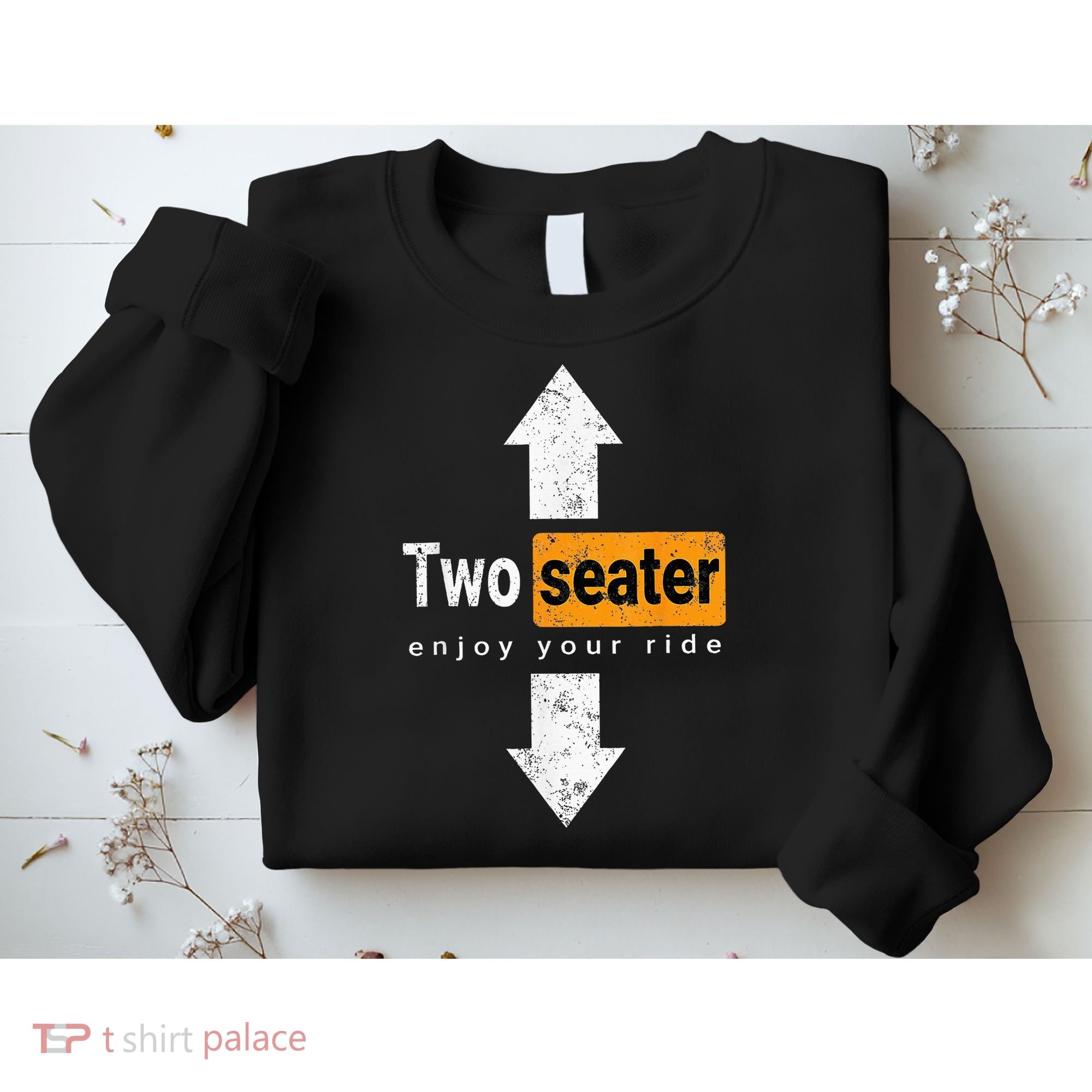 Two Seater Naughty Dirty Adult Humor Sweatshirt
