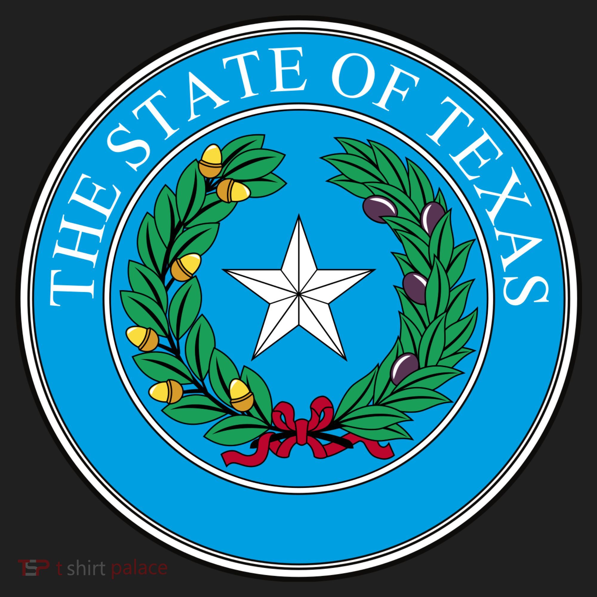 The State Of Texas Seal Hat