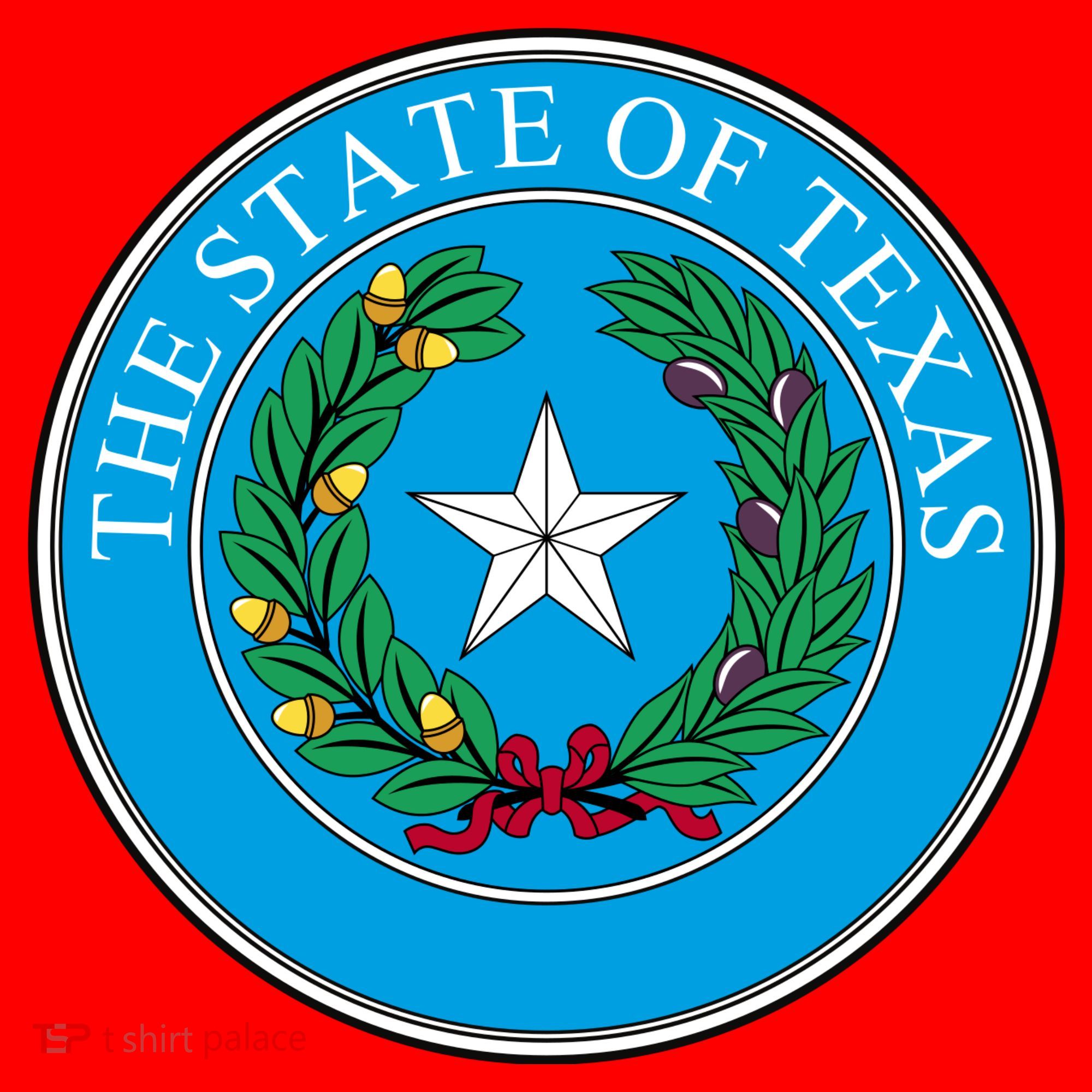 The State Of Texas Seal Santa Hat