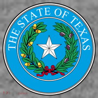 The State Of Texas Seal Women's Hoodie thumb 2