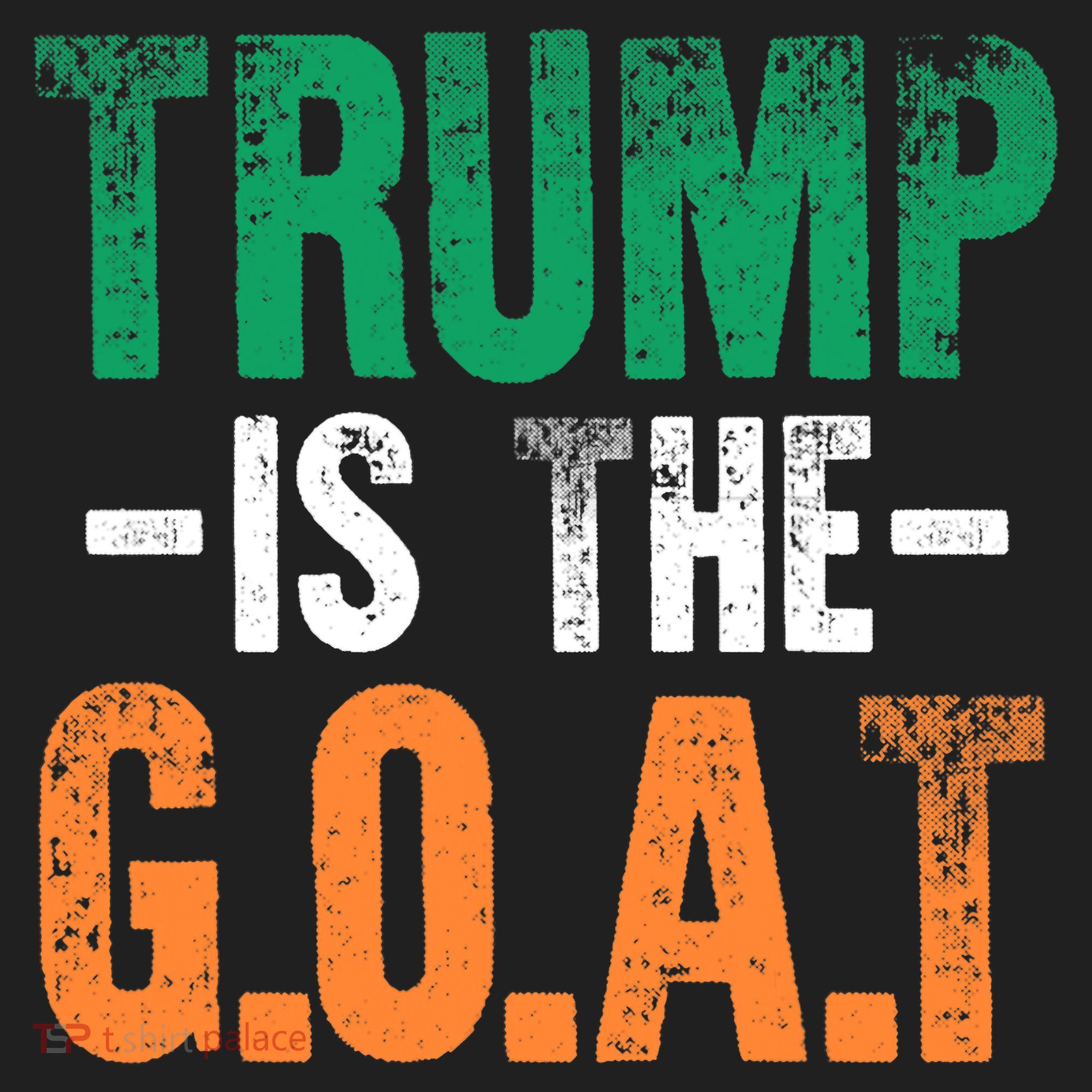 Trump St Patrick's Day Party Gift Donald Trump GOAT Beanie