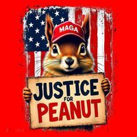 The Squirrel Peanut Squirrel Maga American Flag Justice For Peanut Gift Santa Hat thumb 1