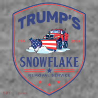 TrumpS Snowflake Removal Service Funny Donald Trump 2024 Toddler Hoodie thumb 2