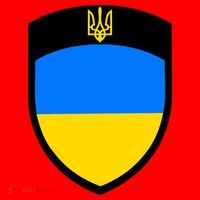 Tactical Shield Support 5 11 Ukraine Volodymyr Zelenskyy Trident Military Santa Hat thumb 1
