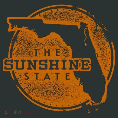 The Sunshine State Performance Fleece Hoodie