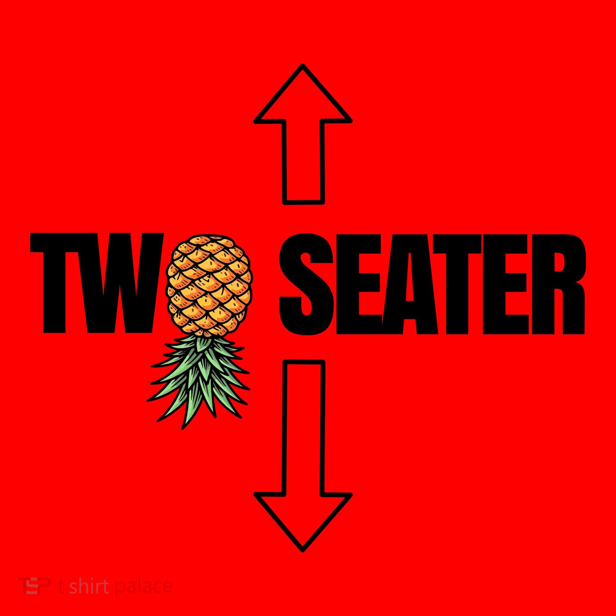 Two Seater Swinger Pineapple Funny Santa Hat