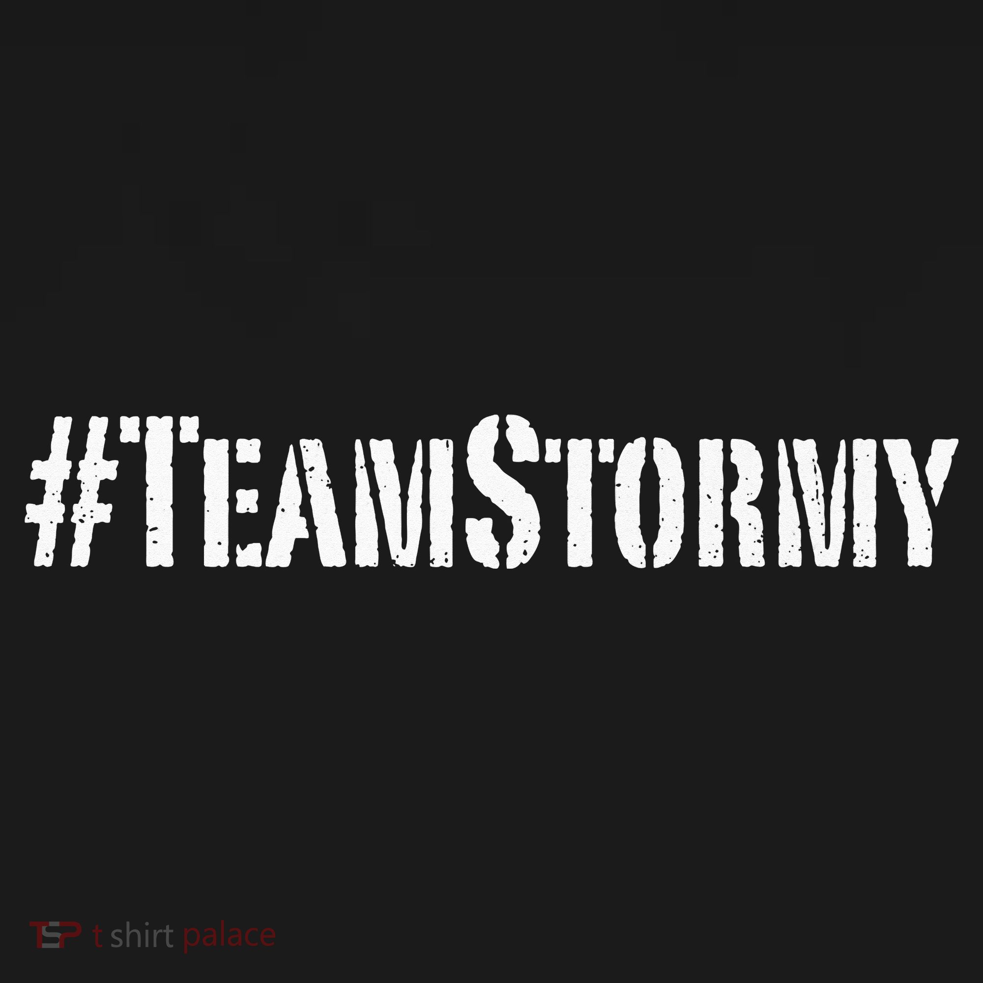 Team Stormy TeamStormy Team Stormy I'm With Her Premium T-Shirt