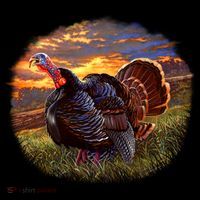 The Sunrise Turkey Women's Tank Top thumb 5