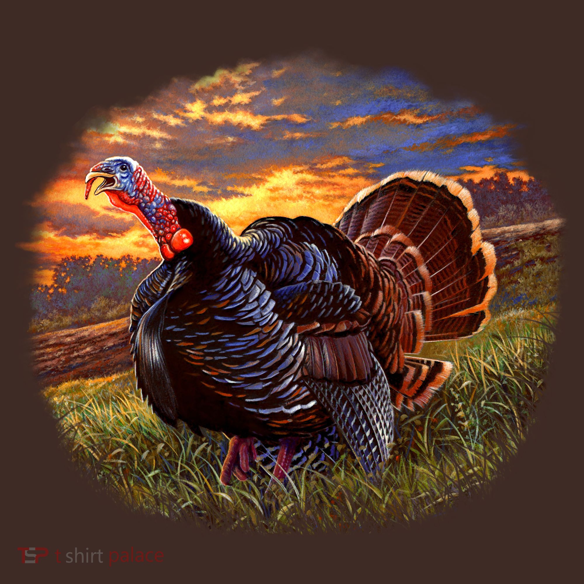 The Sunrise Turkey Apron