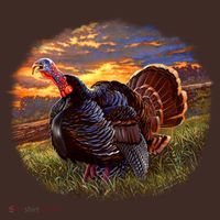 The Sunrise Turkey T-Shirt thumb 7
