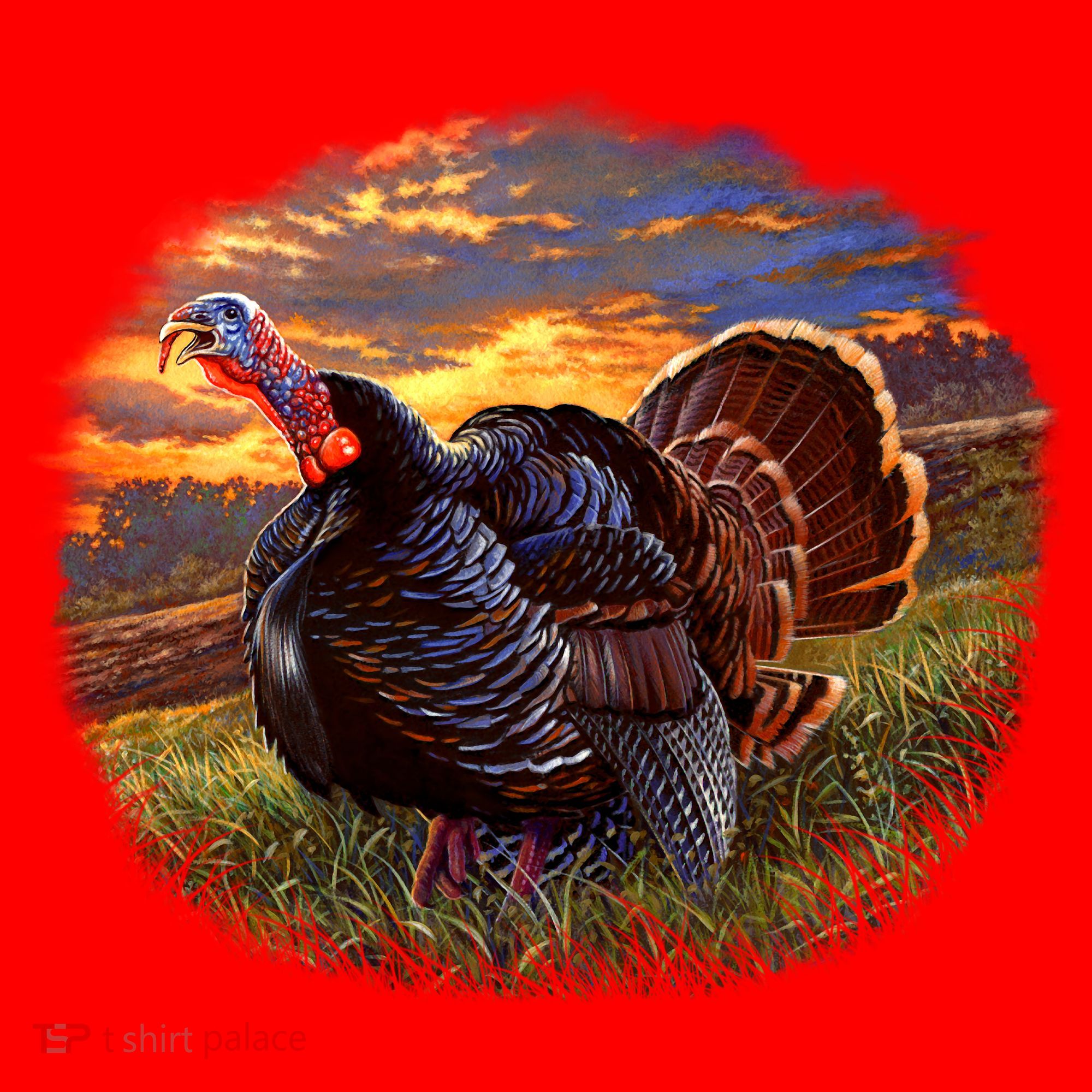 The Sunrise Turkey Santa Hat