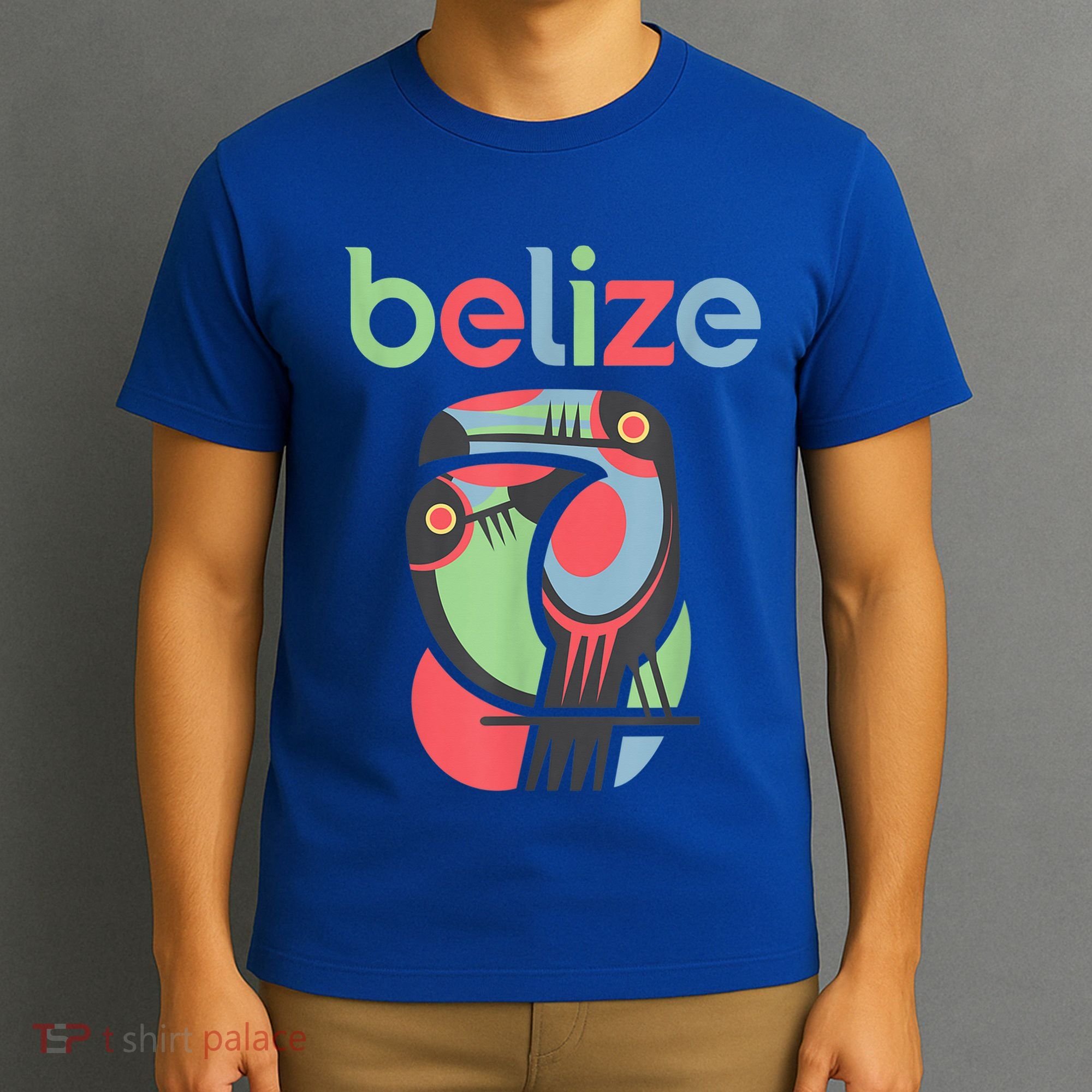 Tropical Summer Toucan Bird Colorful Belize Souvenir T-Shirt
