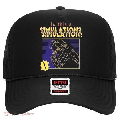 This This A Simulation Hat