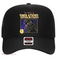 This This A Simulation Hat thumb 0