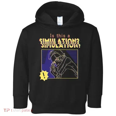 This This A Simulation Toddler Hoodie