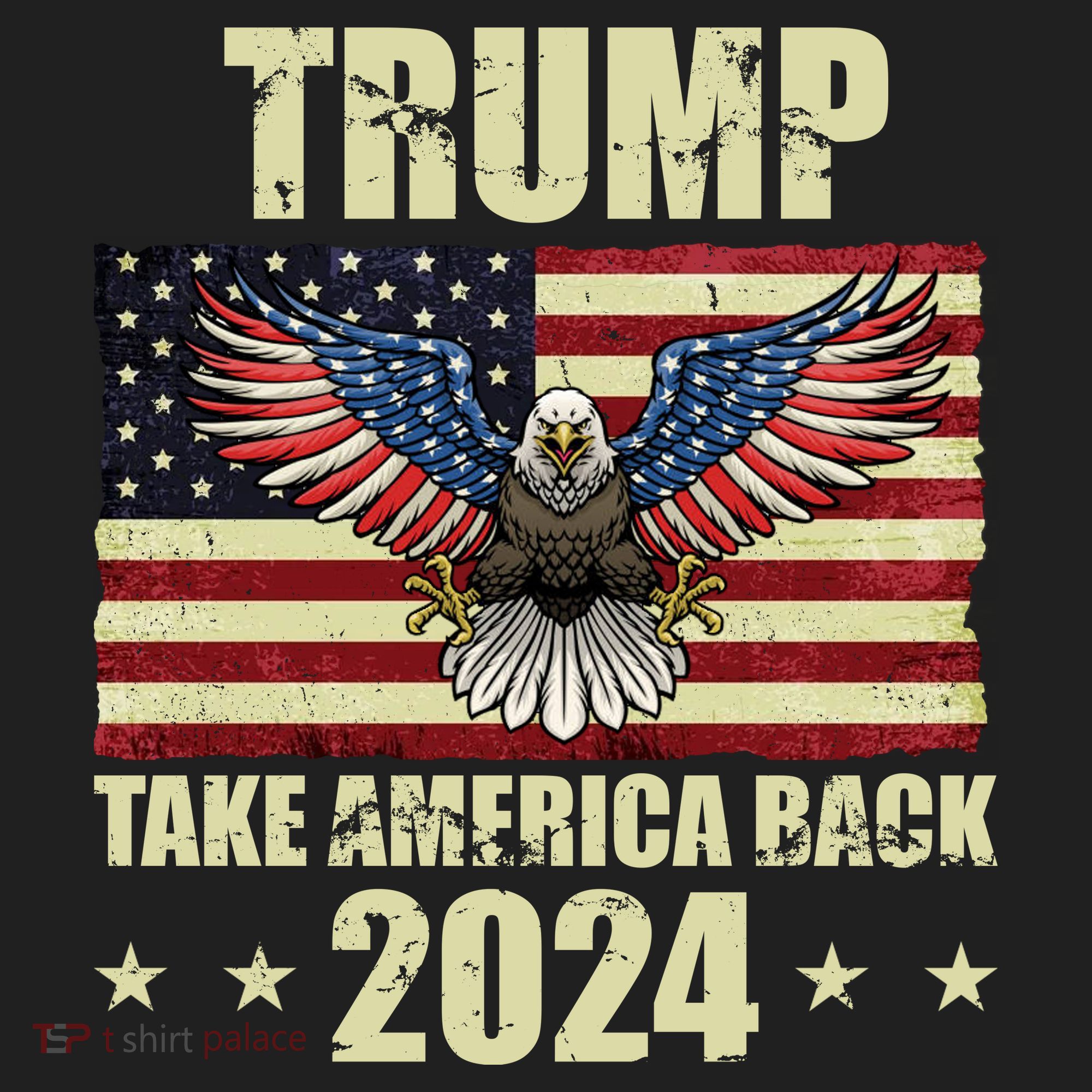 Trump Take America Back 2024 Beanie