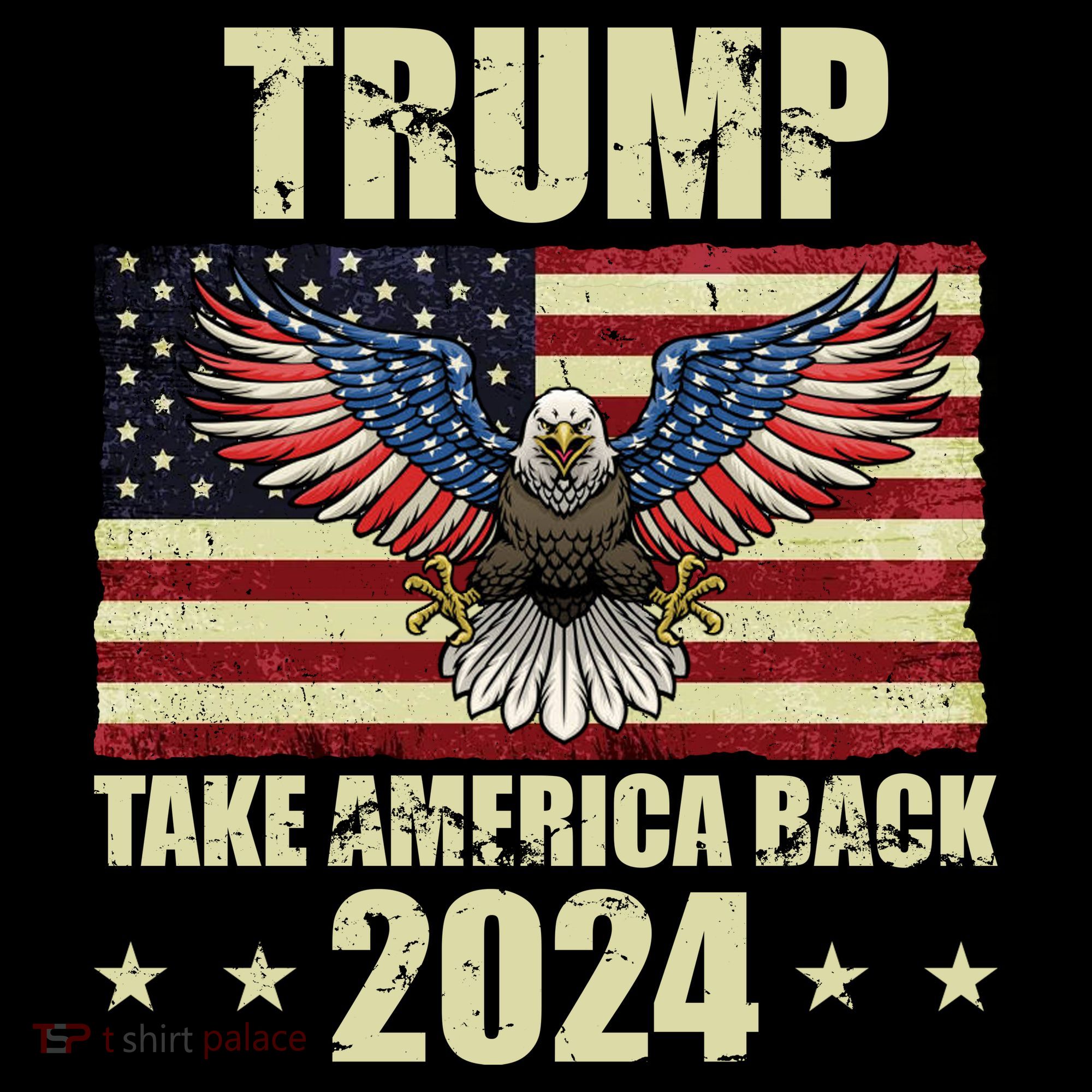 Trump Take America Back 2024 Women's Hoodie