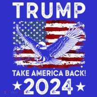 Donald Trump 2024 Take America Back USA United States T-Shirt thumb 7