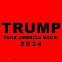 Trump Take America Back 2024 Election Santa Hat thumb 1