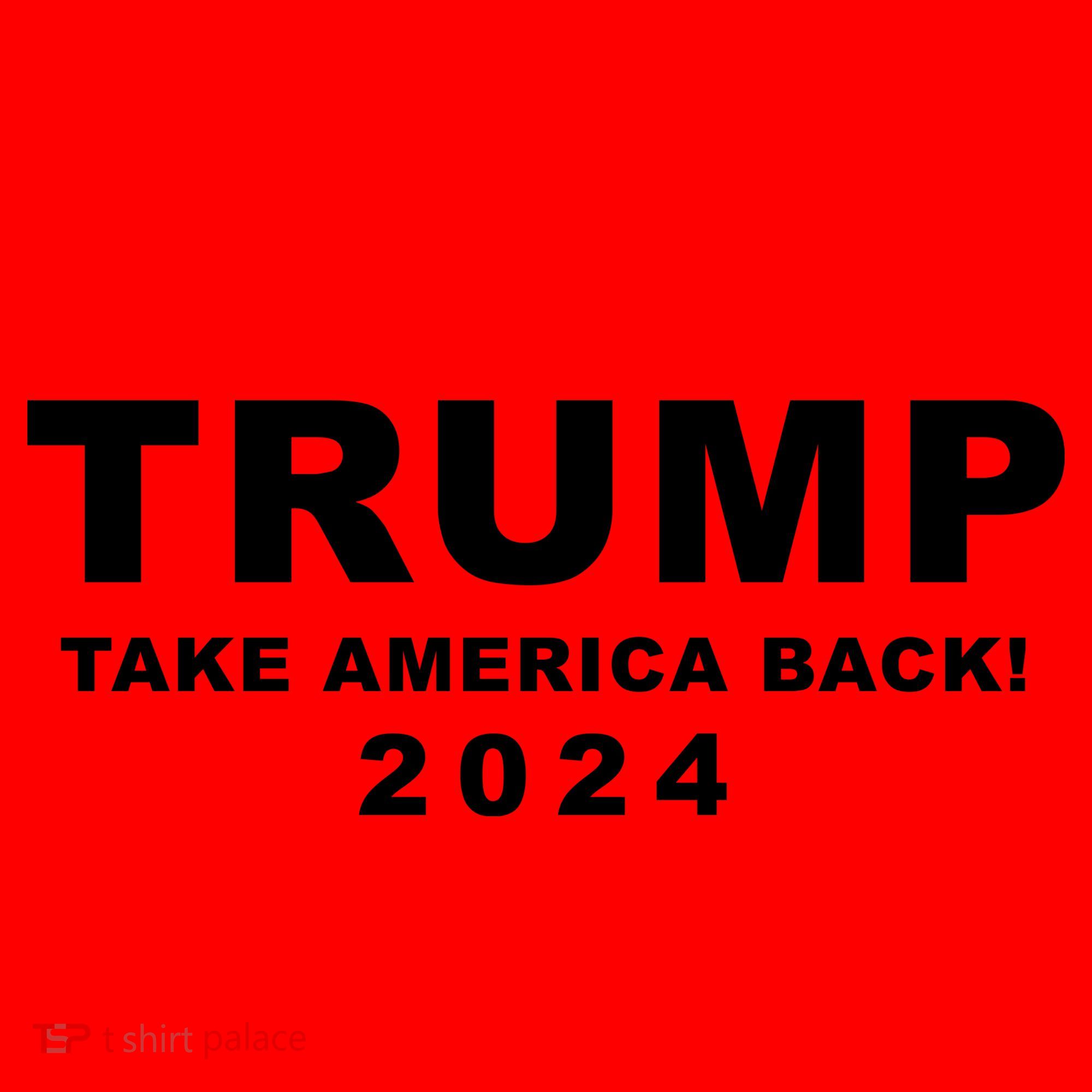Trump Take America Back 2024 Election Santa Hat