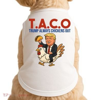 Taco Trump Always Chickens Out Riding A Chicken Doggie Tank
