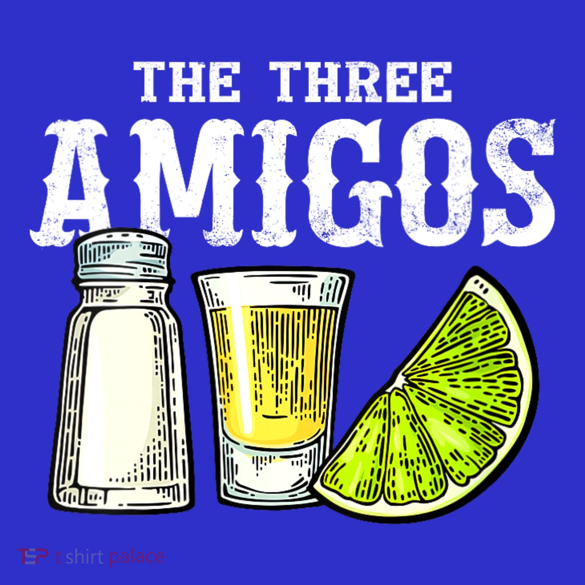 The Three Amigos Lime Salt Tequila Funny Cinco De Mayo Gifts Women's Long Sleeve Shirt