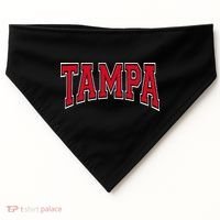 Tampa USA-Made Doggie Bandana thumb 0