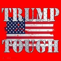 Trump Tough American Flag Santa Hat thumb 1