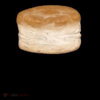 Taste The Biscuit Funny Meme Coffee Mug thumb 5