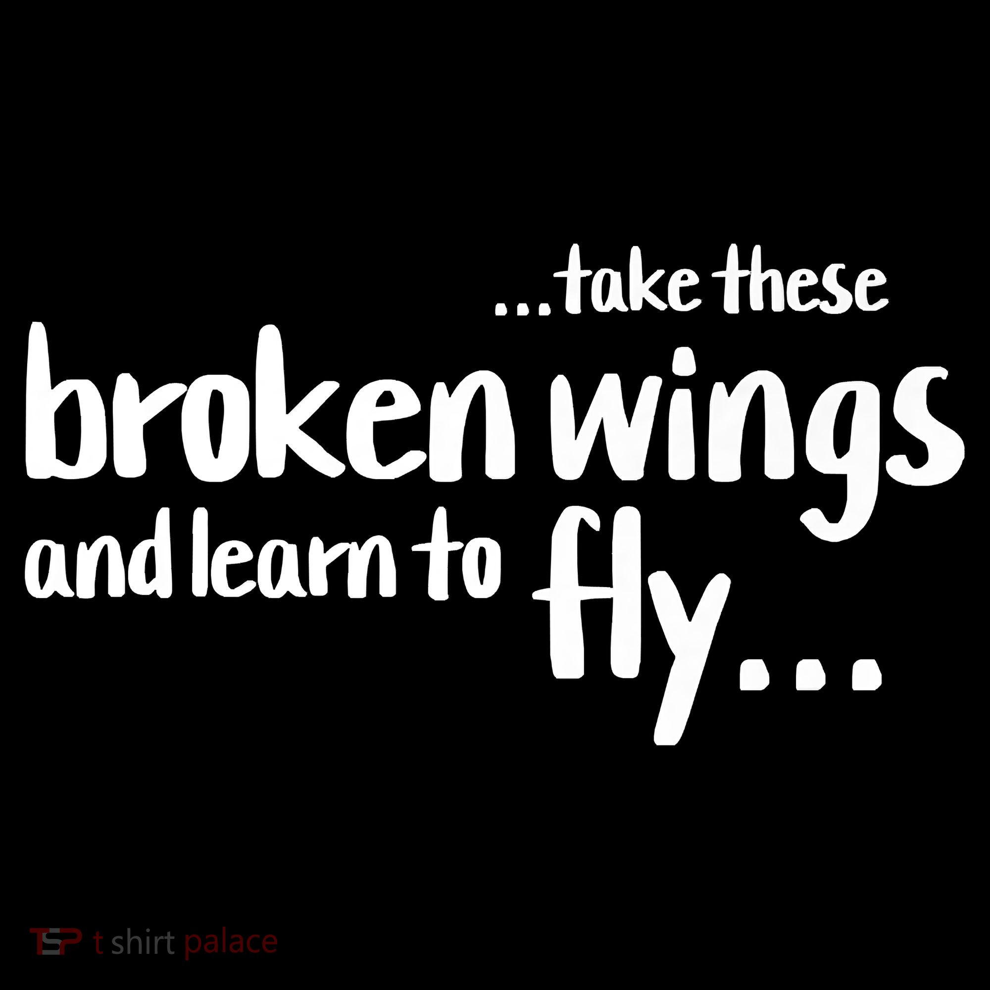 Take These Broken Wings And Learn To Fly Women's Hoodie
