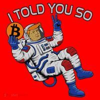 Thanks Trump Bitcoin I Told You So Joke Investment Squad Santa Hat thumb 1
