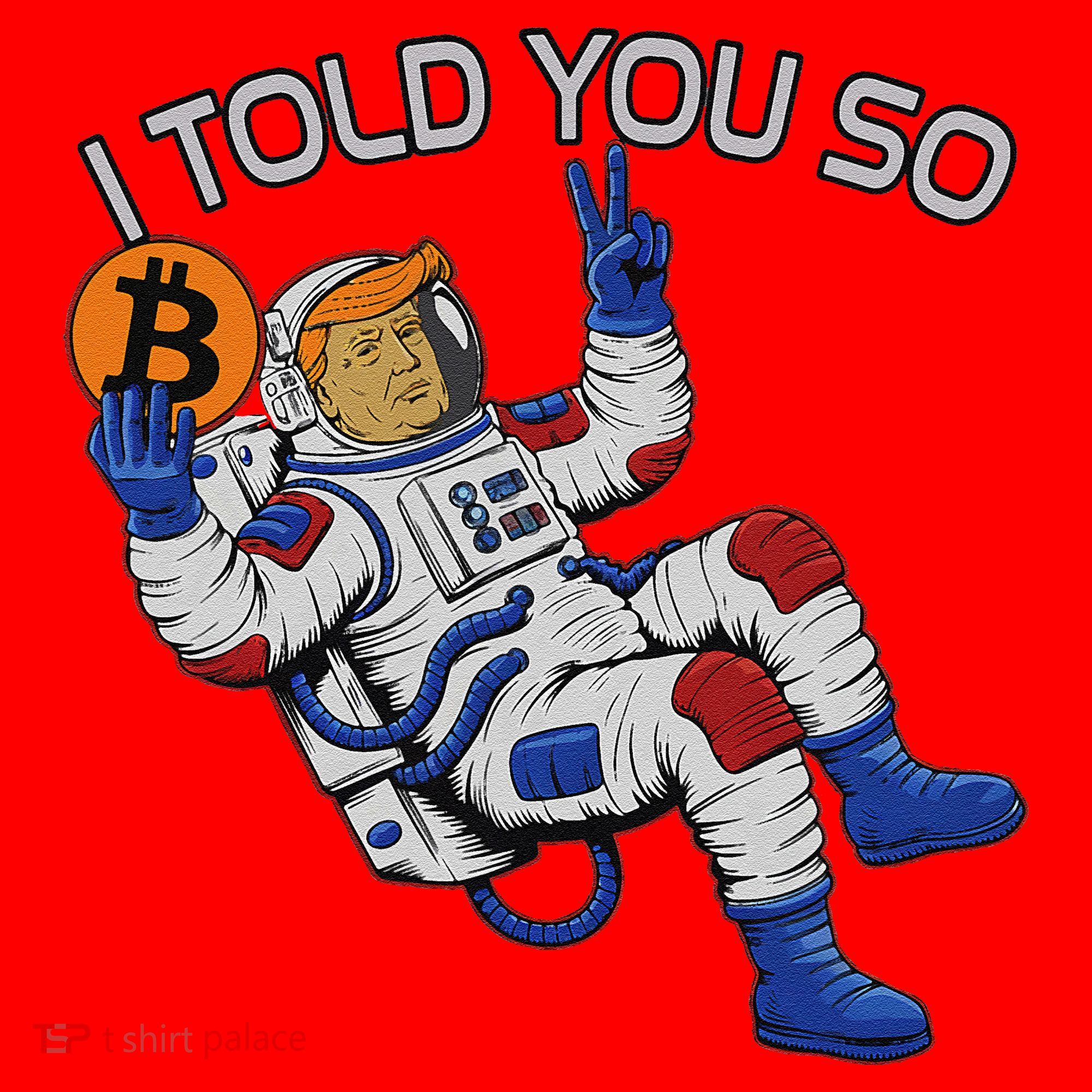 Thanks Trump Bitcoin I Told You So Joke Investment Squad Santa Hat