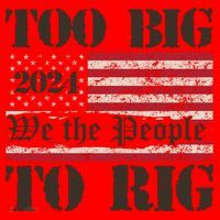 Trump Too Big To Rig We The People Santa Hat thumb 1