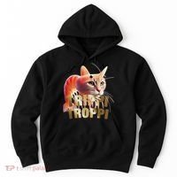 Trippi Troppi Cat Funny Meme Brainrot Humor Gen Z Hoodie thumb 0