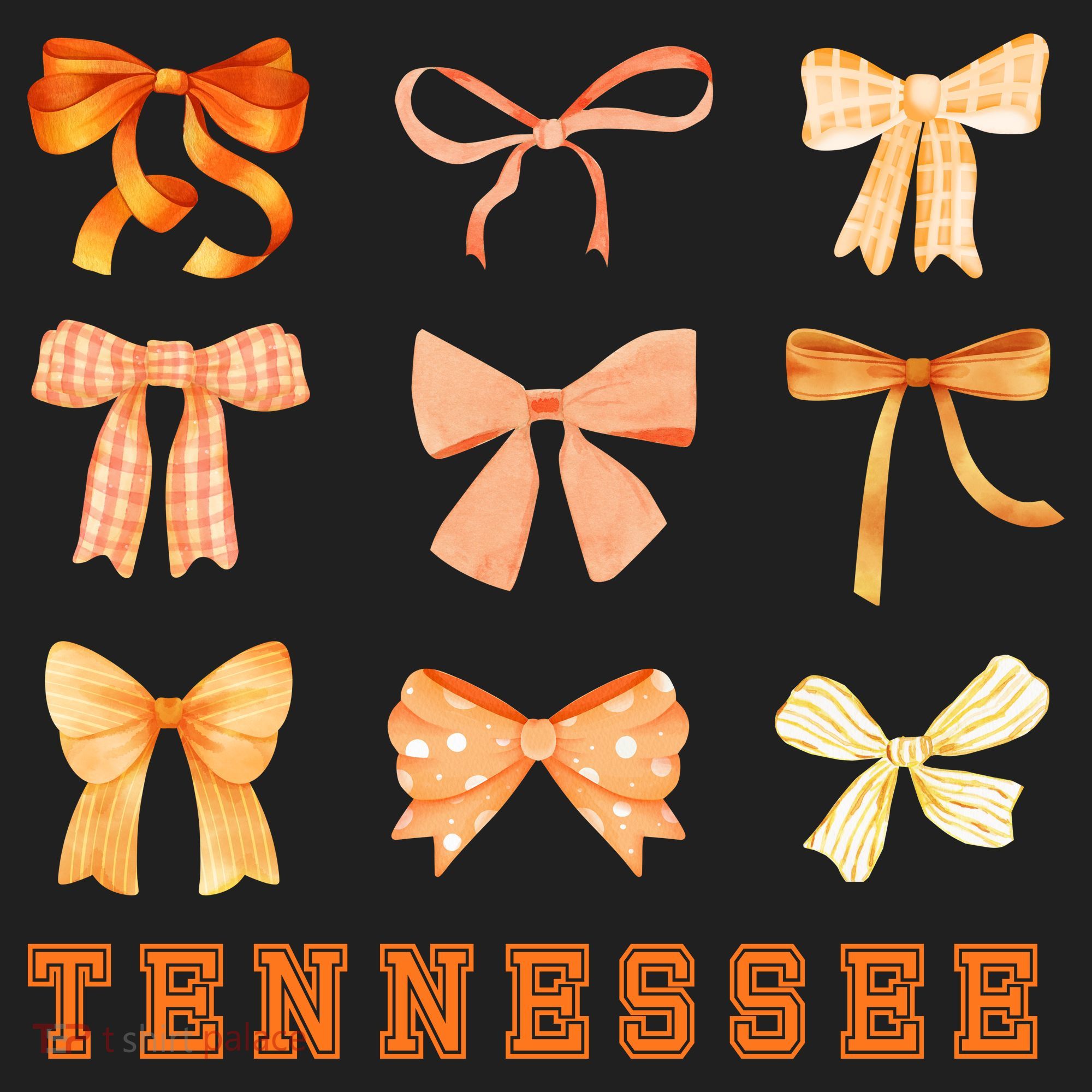 Tennessee TN Coquette Bow State Pride Women's Sweatshirt