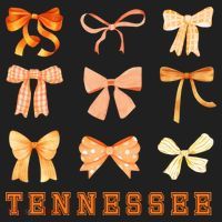 Tennessee TN Coquette Bow State Pride Beanie thumb 2