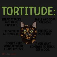 Tortitude Tortie Cat Lover Tortoiseshell Cat Owner Funny Gift Women's Hoodie thumb 2