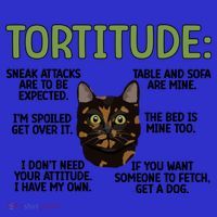 Tortitude Tortie Cat Lover Tortoiseshell Cat Owner Funny Gift Women's Tank Top thumb 5