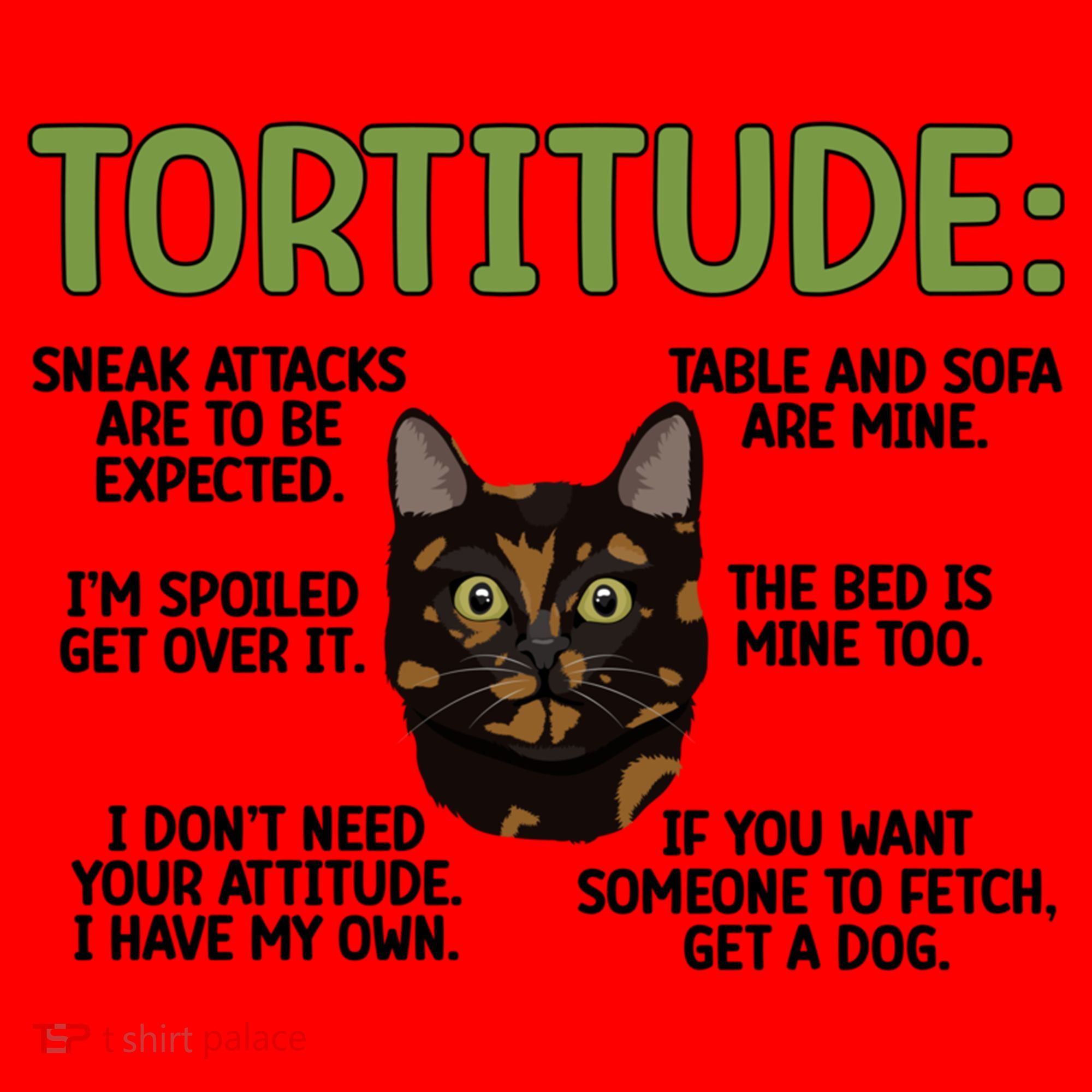 Tortitude Tortie Cat Lover Tortoiseshell Cat Owner Funny Gift Santa Hat