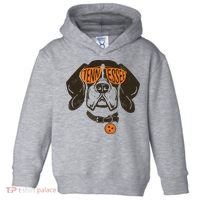 Tennessee Tn Dog State Flag Tn Lover Outfit Toddler Hoodie thumb 0