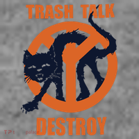 Trash Talk Destroy Black Cat Toddler Hoodie thumb 2