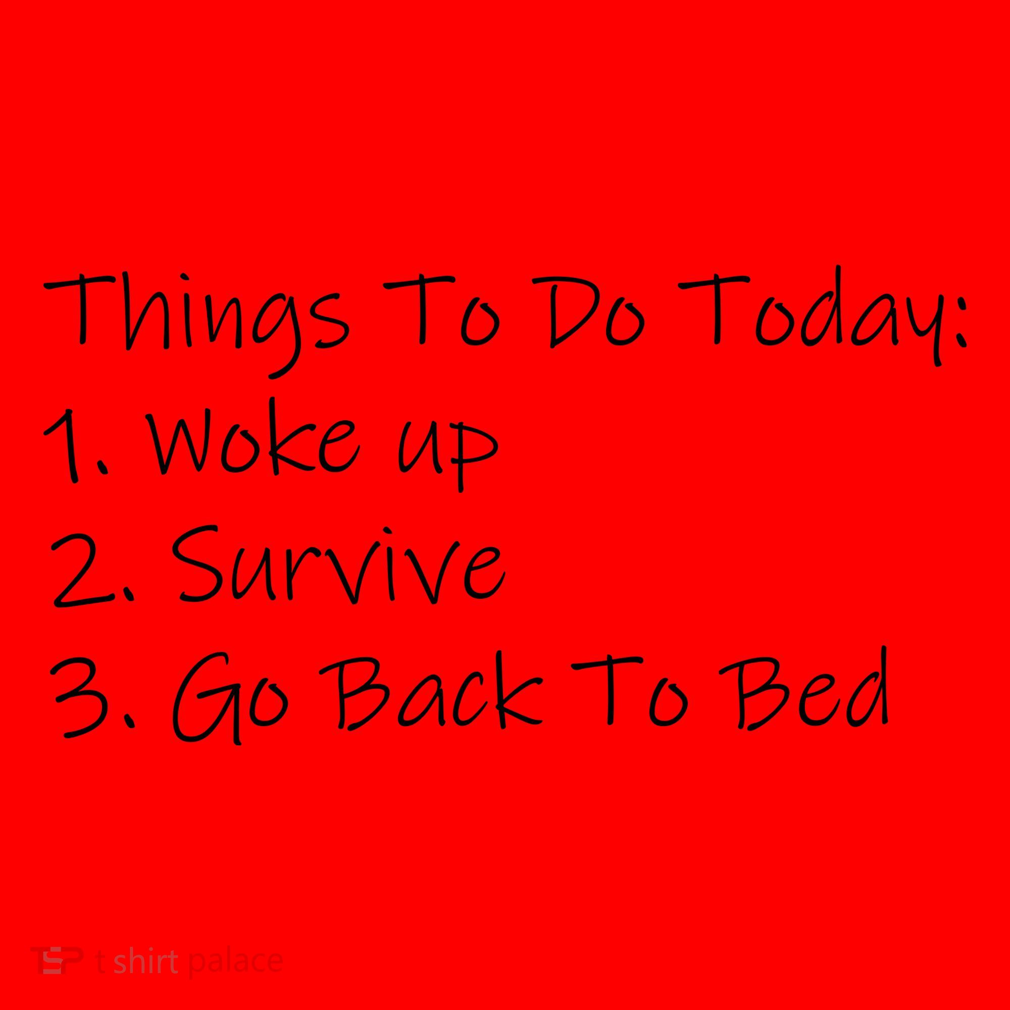Things To Do Today Wake Up Survive Go Back To Bed Santa Hat