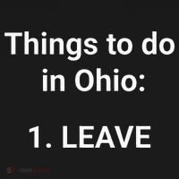 Things To Do In Ohio Leave Funny Ohio Memes Hoodie thumb 7