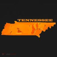 Tennessee Toddler Hoodie thumb 2