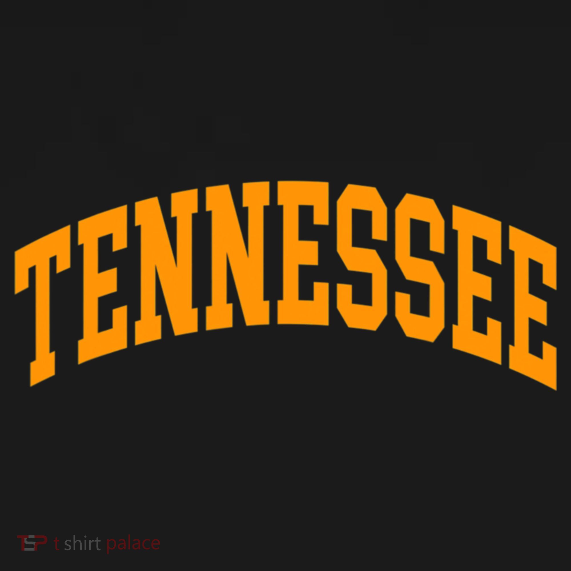 Tennessee TN Football Baseball Sport Fans Polo