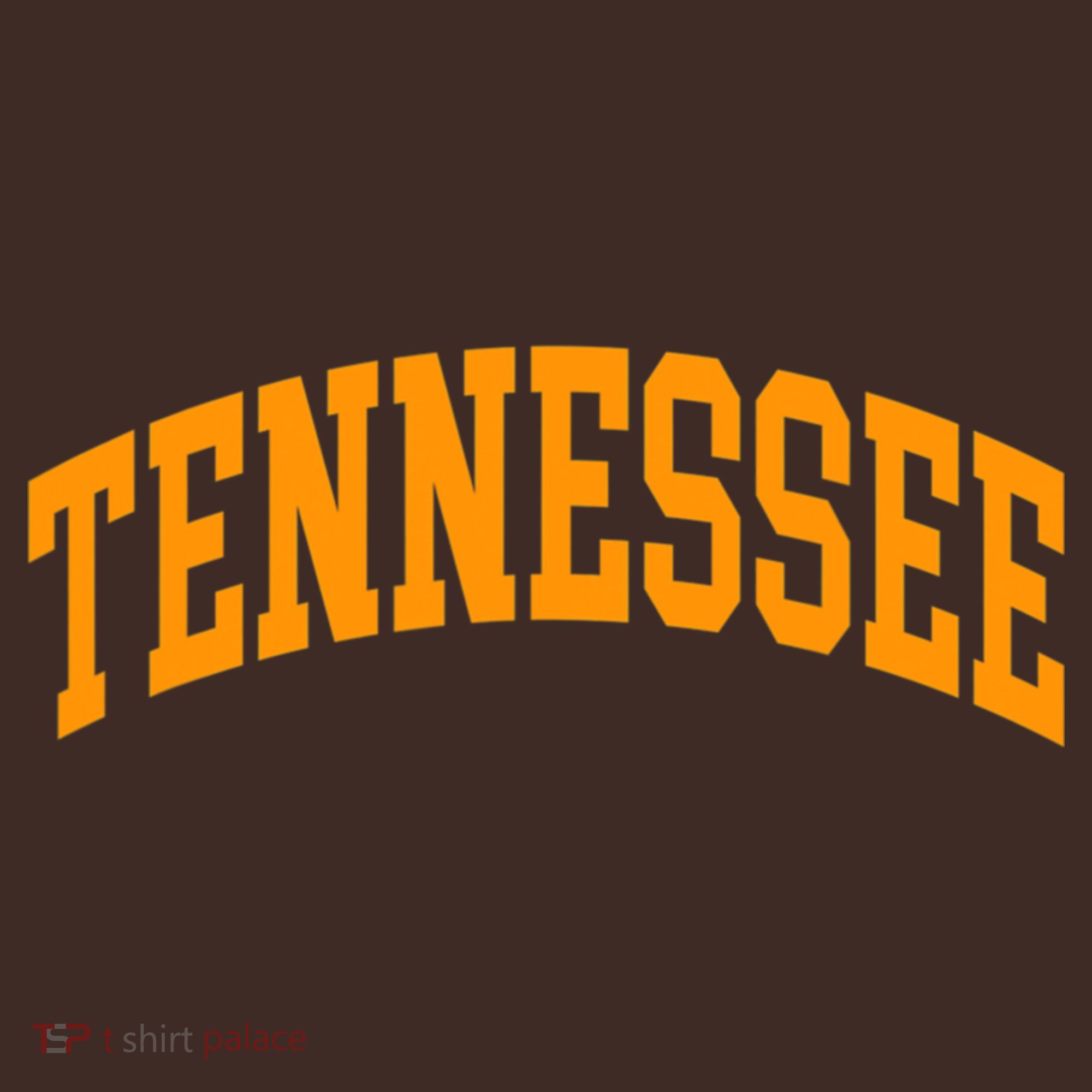 Tennessee TN Football Baseball Sport Fans T-Shirt