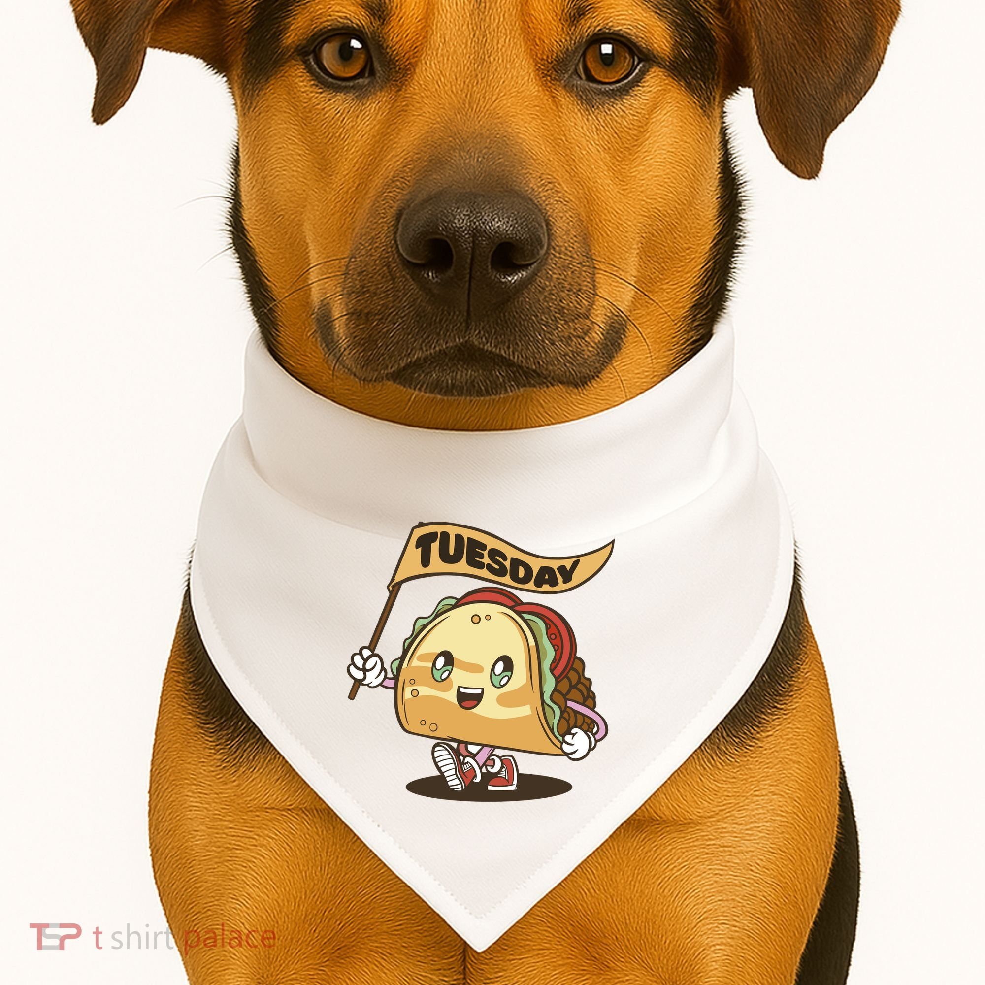 Taco Tuesday Festive USA-Made Doggie Bandana